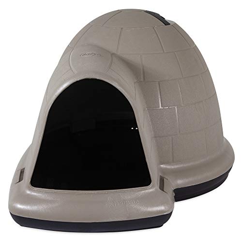 Petmate 290704 Hundebox, M von Petmate