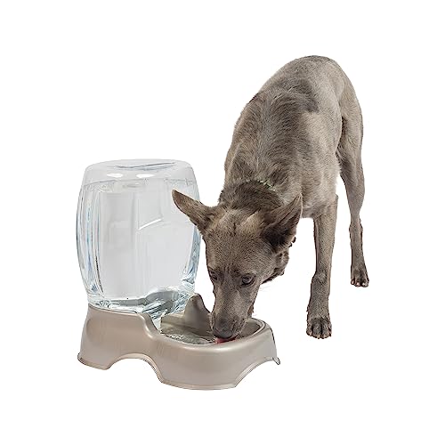 Petmate Pet Cafe Waterer Cat and Dog Water Dispenser 4 Sizes, 3 GAL, Pearl Tan, Made in USA von Petmate