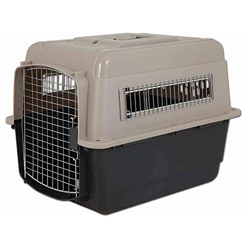 TRIXIE Hundehütte Indoor Home Kennel 73T x 53B x 53H cm weiß – komfortable Hundebox für kleine - mittelgroße Hunde – gemütlicher Rückzugsort für deinen Vierbeiner – sicher & hochwertig - 39753 von Petmate