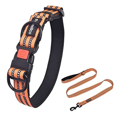 Petmolico Doppel-D-Ring-Hundehalsband mit passender Leine, reflektierendes, gepolstertes Nylon-Hundehalsband mit Sicherheitsschnalle für mittelgroße Hunde, Orange M von Petmolico