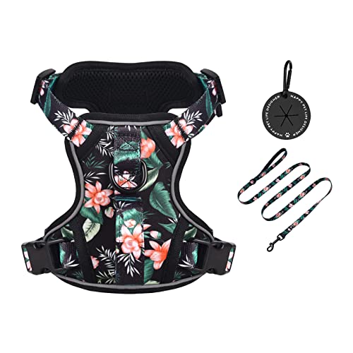 Petmolico Hundegeschirr für XS Hunde No Pull, Niedliches Hundegeschirr mit zwei Leinenclips und weichem Griff, Reflektierendes Easy Walk Hundegeschirr mit Leine, Schwarz Lotus XS von Petmolico