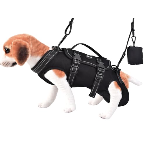 Petmolico Hundetragetasche, Hundegeschirr, verstellbare Hundeleine mit Leckerli-Tasche für kleine Welpen, Schwarz, Größe M von Petmolico