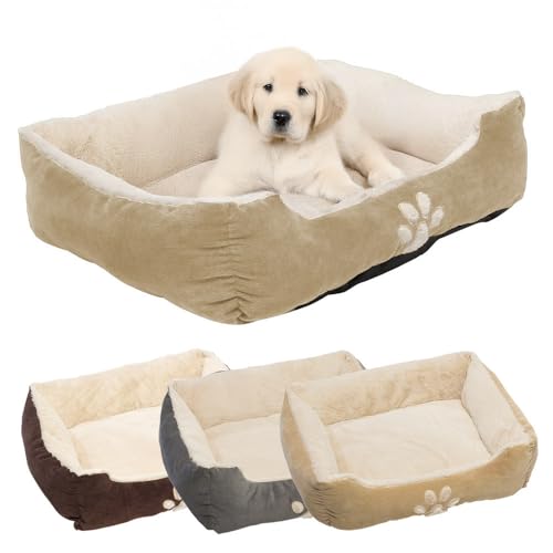 Petnic - Hundebett ca. 60x48x18 cm - Beige - Plüsch flauschig mit Rand weich für kleine bis mittelgroße Hunde Katzenbett Hundekissen Haustierbett eckig ca. 60x50 cm - Murago von Petnic