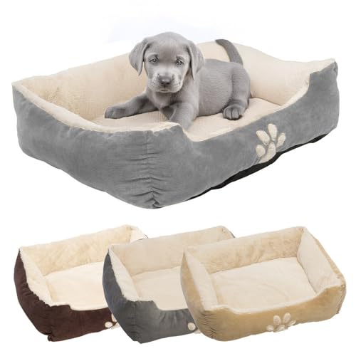 Petnic - Hundebett ca. 60x48x18 cm - Grau - Plüsch flauschig mit Rand weich für kleine bis mittelgroße Hunde Katzenbett Beige Hundekissen Haustierbett eckig ca. 60x50 cm von Petnic