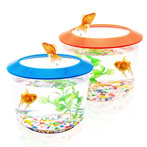 Goldfish Tank kleine Aquarien und Aquarien, komplettes Set, Kinder-Fischtank-Starter-Kits, Fischschale für Goldfische mit Kies, Zierpflanze (alle (blau oder orange)) von Petopedia