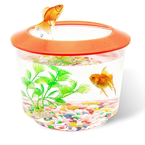 Goldfish Tank Kleine Aquarien und Aquarien, Fischschale für Goldfische, komplettes Set, Kinder-Fischtank-Starter-Sets mit Kies, Zierpflanze (Orange) von Petopedia