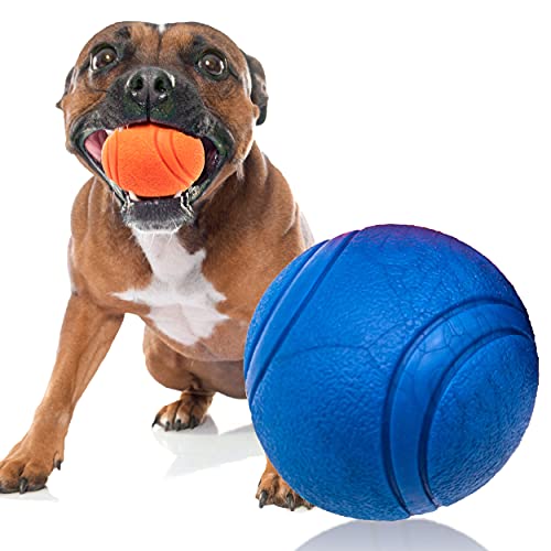 Petopedia 6 cm massiver Kern, Gummiball, hochspringend, unzerstörbar, praktisch robust, interaktives Hundespielzeug gegen Langeweile, starke Gummibälle für Hunde zum Spielen (Blau, 6 cm) von Petopedia