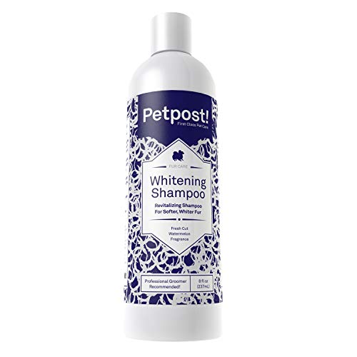 Petpost | Aufhellendes Schampoo für Hunde - Die Beste Behandlung für Hunde mit weißem Fell - Hundeshampoo mit Beruhigendem Wassermelonen-Geruch - 237 ml. von Petpost