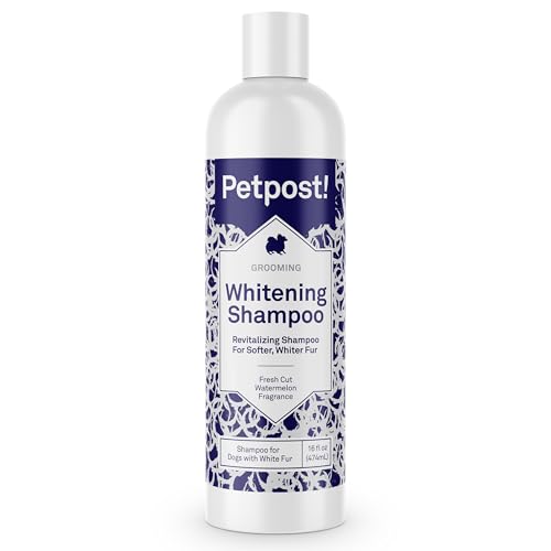 Petpost | Aufhellendes Schampoo für Hunde - Die Beste Behandlung für Hunde mit weißem Fell - Hundeshampoo mit Beruhigendem Wassermelonen-Geruch - 474 ml. von Petpost