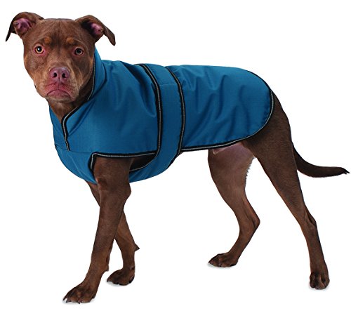 PetRageous 7303TXL Juneau Wasserdichter Hundemantel mit vollständiger Brustabdeckung, Hundeleinenöffnung, 58 cm lang, schwere Jacke für extra große Hunde, Blaugrün von Petrageous