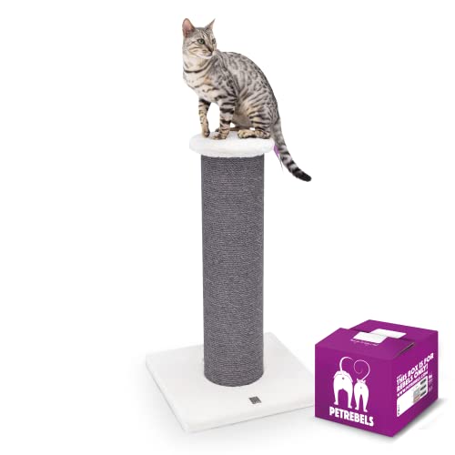 Petrebels Kratzstamm XXL für große Katzen, Hohe Qualität Kratzbaum Savannah 86 cm hoch, Kratzsäule mit Ø20 cm Dicke stämme, Farbe Off-White von Petrebels