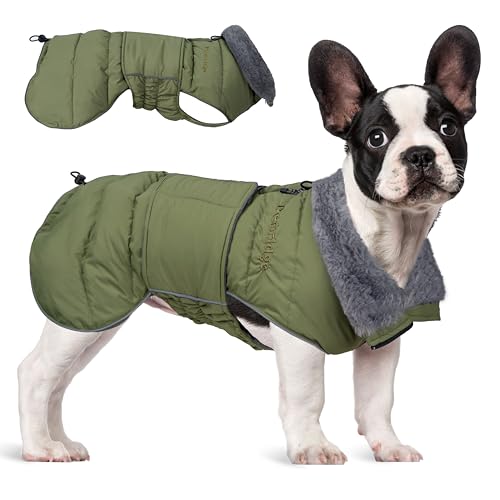 Petridge Hunde-Wintermantel, warme und weiche Hundejacke, gepolstert, leicht, Pufferweste für kleine, mittelgroße und große Hunde, Grün, Größe S von Petridge