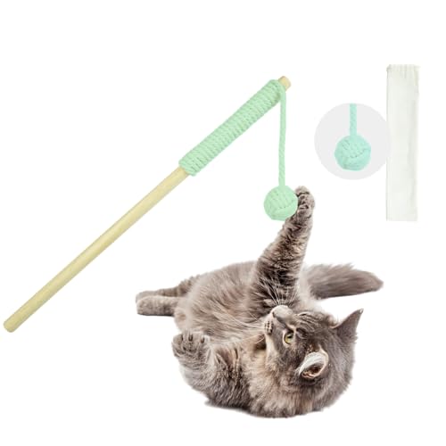 Petriumph® Katzenspielzeug Angel | Katzenspielzeug Interaktiv | Katzenspielzeug Selbstbeschäftigung | Katzenangel und Katzen Intelligenzspielzeug in einem | Katzen Beschäftigung (Grün-Blau) von Petriumph