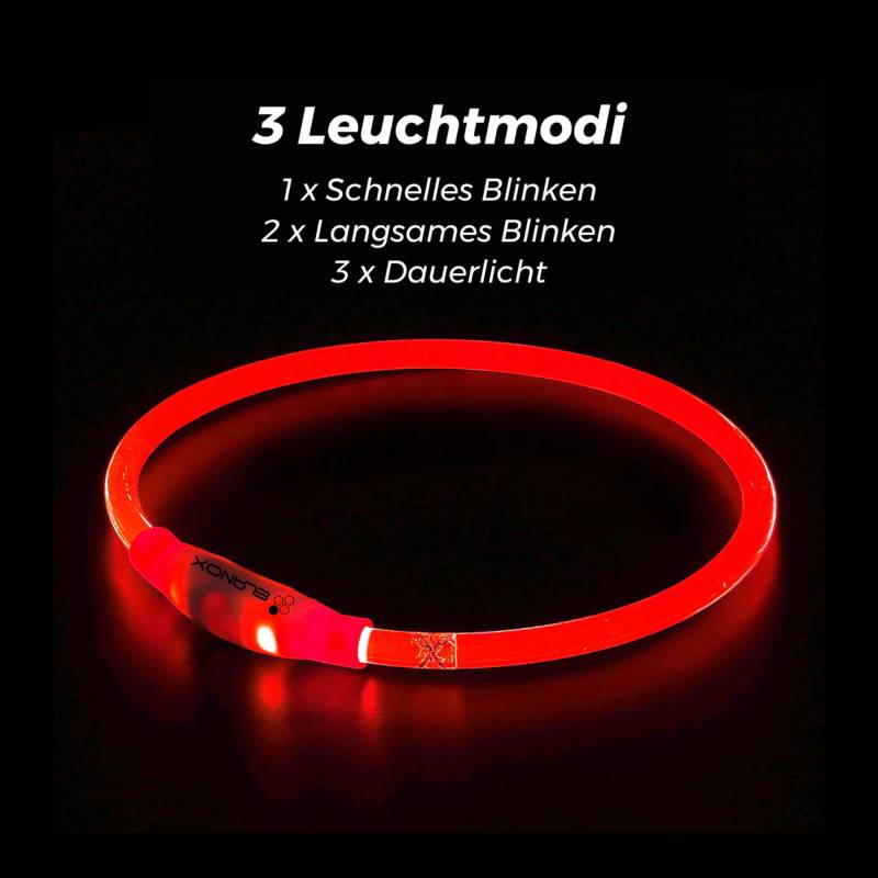 Elanox LED Halsband für Hunde - Rot von Pets Deli