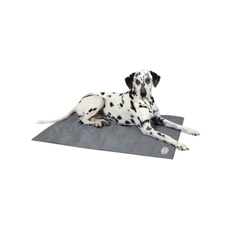 Scruffs Cooling Mat - Grau / L von Pets Deli