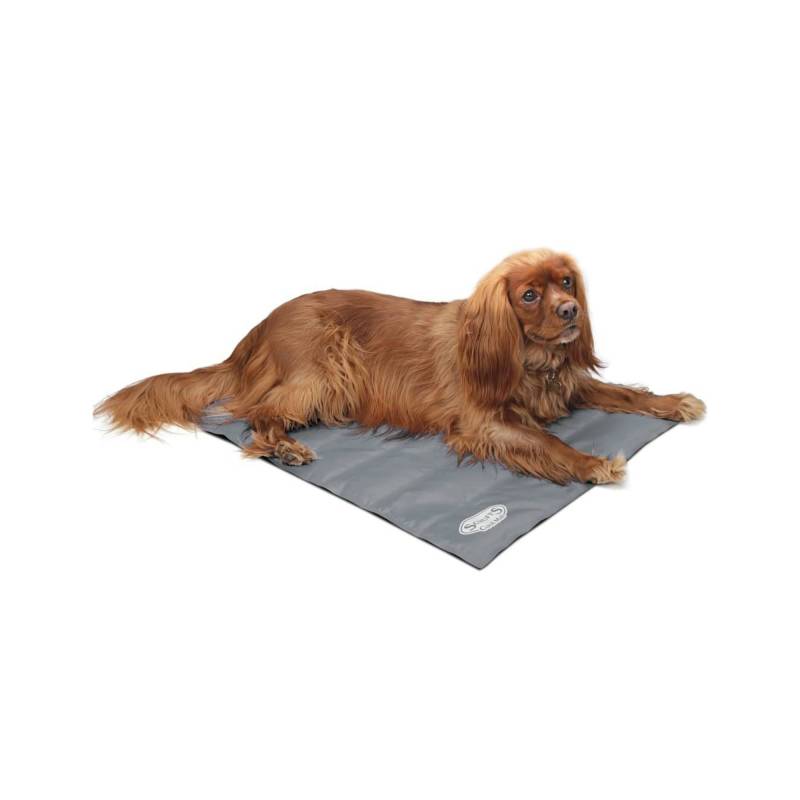 Scruffs Cooling Mat - Grau / M von Pets Deli