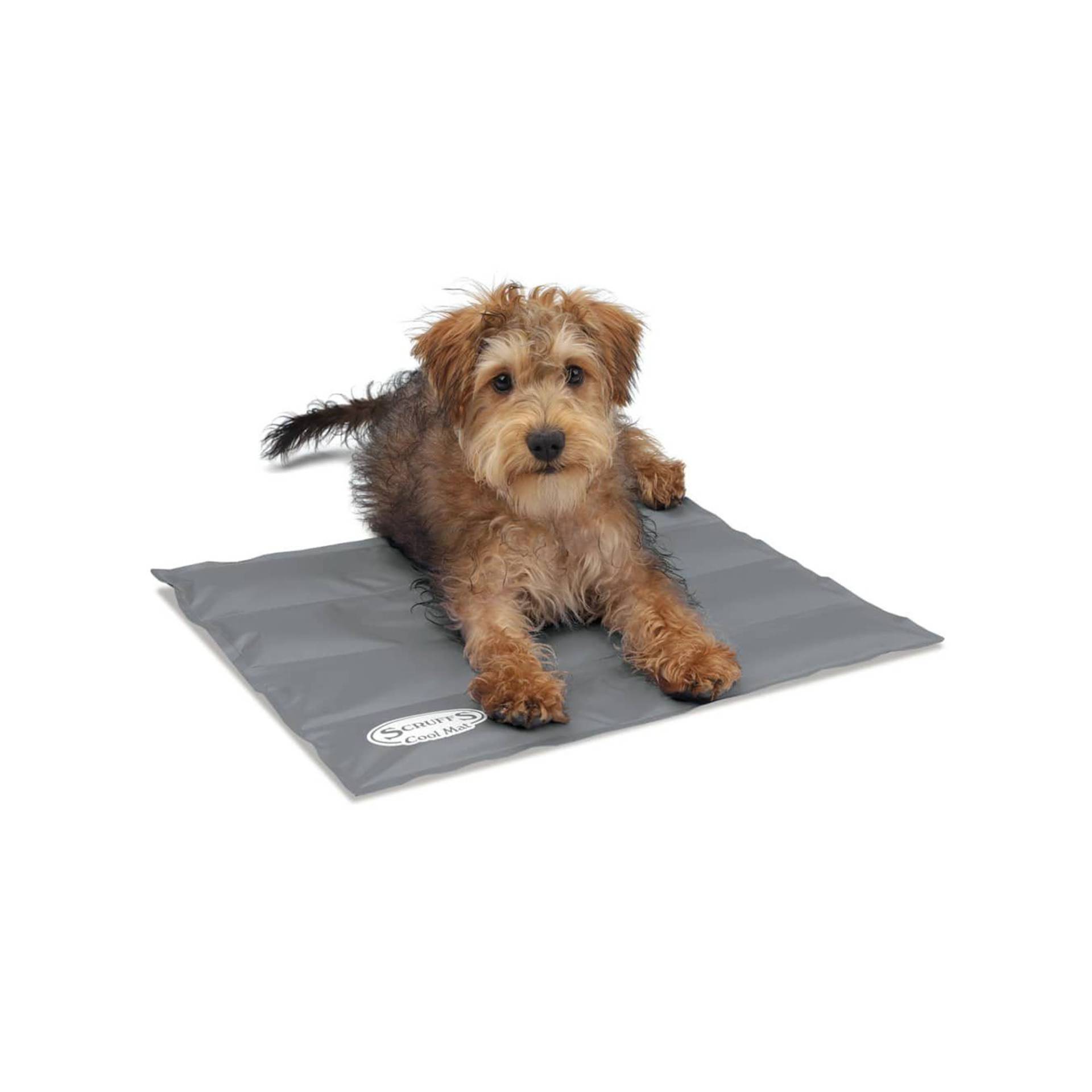 Scruffs Cooling Mat - Grau / S von Pets Deli