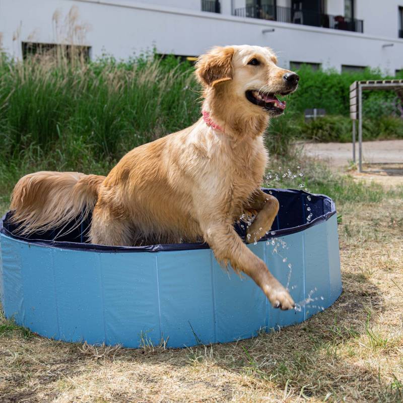 CoolPets Dog Pool - Medium von Pets Deli