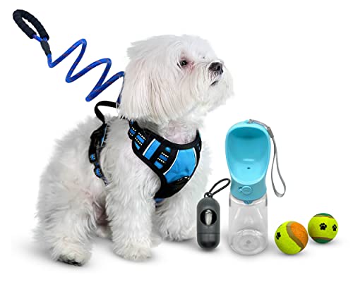 Pets Depot Outdoor-Set – verstellbares weiches Geschirr Größe L für Haustiere + Hunde-Tennisbälle + Leine + Kotbeutelhalter mit Taschen + Haustier-Wasserflasche 540 ml (blau) von Pets Depot