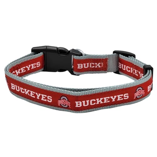 NCAA PET Halsband Ohio State Buckeyes Hundehalsband, Größe S, College-Team-Halsband für Hunde und Katzen, glänzendes und farbenfrohes Hunde- und Katzenhalsband, lizenziert von der NCAA von Pets First