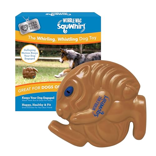 Pets Know Best SquWhirl- The Whirling Whistling Interactive Frisbee Dog Toy, Outdoor Frisbee for Apportieren von Pets Know Best