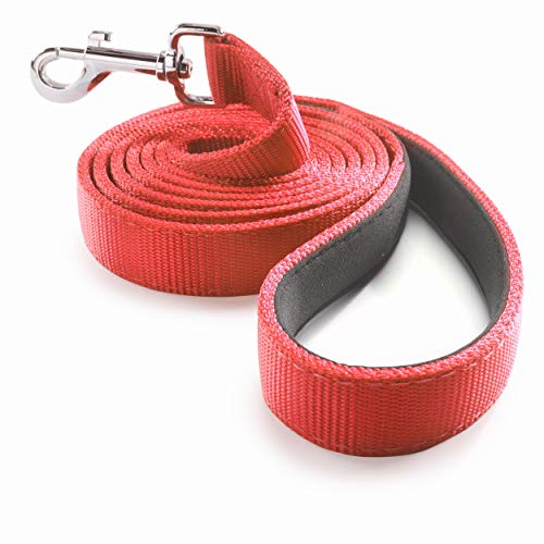 PetsLovers Hundeleinen Gepolstert - extrem haltbares Nylonband, gepolsterte Schlaufe - rot, 1,8 m lang, 2,5 cm breit von Pets Lovers Club