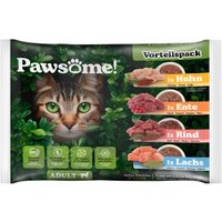 Pets Nature GmbH Pawsome Mixpack 4x85 g von Pets Nature GmbH