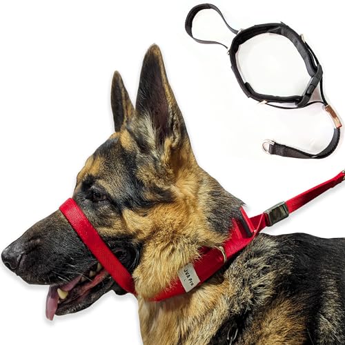 PetsProMax Hundehalfter, No-Pull Hundehalsband, Erziehungshundehalsband | Walking/Trainingshalsband für Hunde | Stoppt Ihren Hund sofort am Ziehen (Rot, L) von Pets ProMax