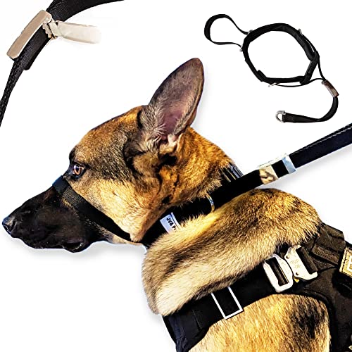 PetsProMax - Hundehalfter, No-Pull Hundehalsband, Trainingshundehalsband | Walking/Trainingshalsband für Hunde | Stoppt Ihren Hund sofort vom Ziehen Groß (L) von Pets ProMax