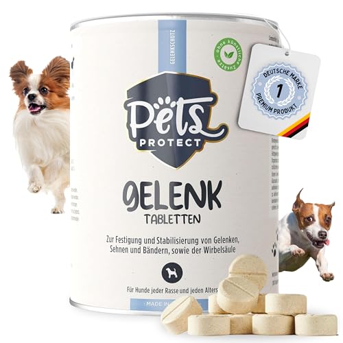 Pets PROTECT GELENK-TABLETTEN für Hunde | Deutsche Herstellung | Hochdosiert mit Grünlippmuschel, MSM, Glucosamin & Teufelskralle | Als Leckerli geeignet | Für Hunde jeden Alters | 100 Tabletten von Pets PROTECT