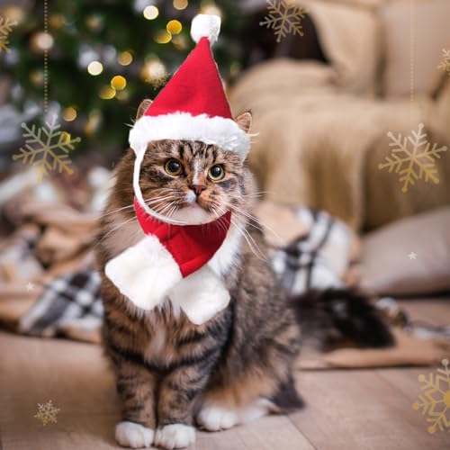 Pets on Safari Katze Weihnachtsmann Mütze mit Schal, Weihnachtsmütze für Haustiere, Santa Cosplay Kostüme für Welpen Kätzchen Kaninchen (Medium) von Pets on Safari