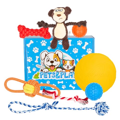 Pets & Play Gemischtes Hundespielzeug, Mischung aus 8 langlebigen, starken Spielzeugen für Hunde und Welpen von Pets & Play