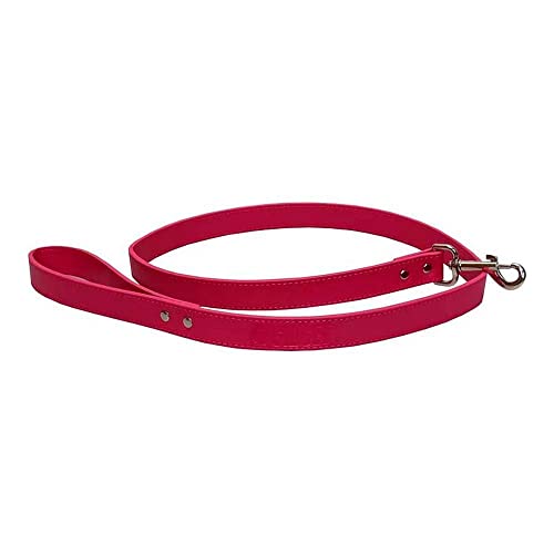 CYPBRANDS Pets LE-02-PET Hundeleine 2, Gidget von CYPBRANDS