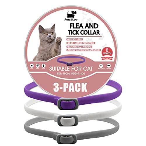 Pets4Luv Zeckenhalsband für Katzen, Einheitsgröße, hergestellt mit ätherischen Ölen, sicher und wirksam zur Floh- und Zeckenbekämpfung, wasserdichtes und abnehmbares Design, 24 Monate Schutz, 3 Stück von Pets4Luv