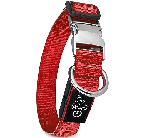 Petsation Leuchthalsband für Hunde [Das Original] Leuchtendes LED Hundehalsband spazieren gehen auch im Dunkeln Lange Akkulaufzeit – Sicher Dank hochwertigem Metallverschluss (Rot, L (48-60 cm)) von Petsation