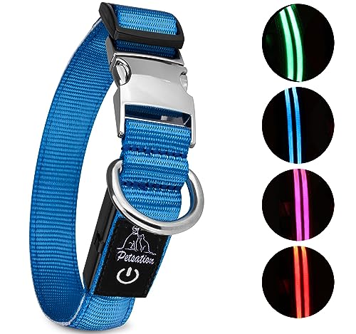 Petsation Leuchthalsband für Hunde [Das Original] Leuchtendes LED Hundehalsband spazieren gehen auch im Dunkeln Lange Akkulaufzeit – Sicher Dank hochwertigem Metallverschluss (Blau, M (38-50 cm)) von Petsation