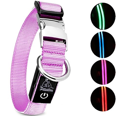 Petsation Leuchthalsband für Hunde [Das Original] Leuchtendes LED Hundehalsband spazieren gehen auch im Dunkeln Lange Akkulaufzeit – Sicher Dank hochwertigem Metallverschluss (Pink, M (38-50 cm)) von Petsation