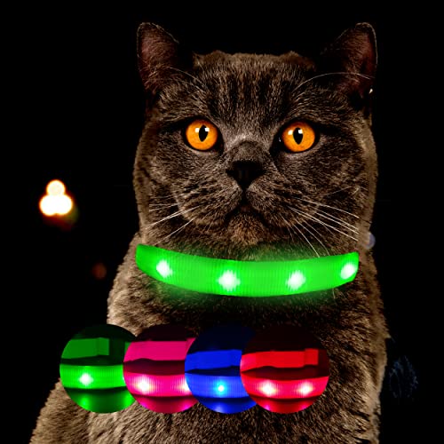 Leuchthalsband für Katzen [Das Original] Leuchtendes LED Katzenhalsband zum spazieren gehen auch im Dunkeln - sehr Lange Akkulaufzeit – Sicher Dank starker Leuchtkraft - Katzenhalsband (L, Grün) von Petsation