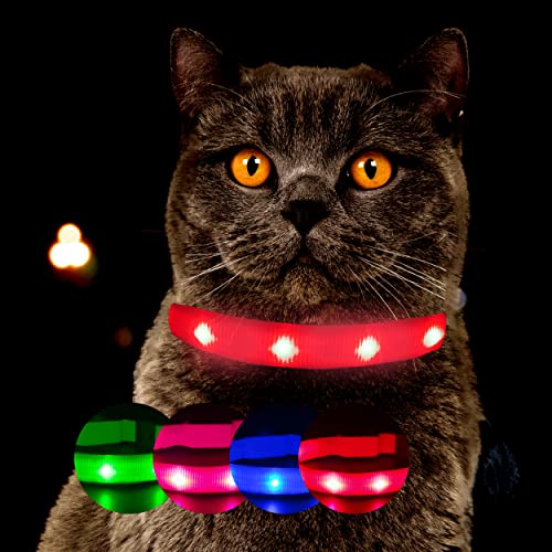 Leuchthalsband für Katzen [Das Original] Leuchtendes LED Katzenhalsband zum spazieren gehen auch im Dunkeln - sehr Lange Akkulaufzeit – Sicher Dank starker Leuchtkraft - Katzenhalsband (L, Rot) von Petsation