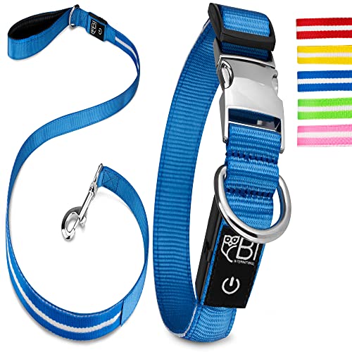 Leuchthalsband & Leuchtleine für Hunde [Das Original] Leuchtendes LED Hundehalsband zum spazieren gehen im Dunkeln Lange Akkulaufzeit Sicher Dank hochwertigem Metallverschluss (Blau, M (38-50 cm)) von Petsation