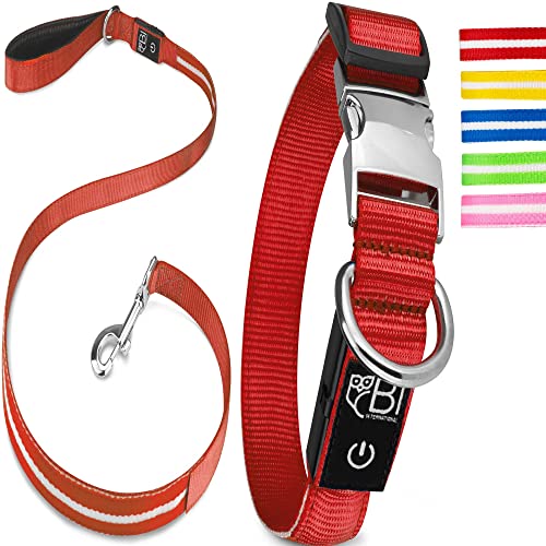 Leuchthalsband & Leuchtleine für Hunde [Das Original] Leuchtendes LED Hundehalsband zum spazieren gehen im Dunkeln Lange Akkulaufzeit Sicher Dank hochwertigem Metallverschluss (Rot, M (38-50 cm)) von Petsation