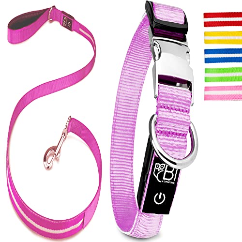 Leuchthalsband & Leuchtleine für Hunde [Das Original] Leuchtendes LED Hundehalsband zum spazieren gehen im Dunkeln Lange Akkulaufzeit Sicher Dank hochwertigem Metallverschluss (Pink, L (48-60 cm)) von Petsation