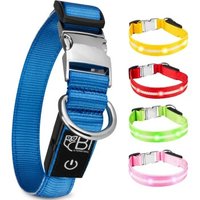 Petsation Leuchthalsband Hundehalsband blau M von Petsation