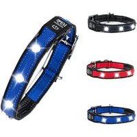 Petsation Leuchthalsband Hundehalsband blau S von Petsation