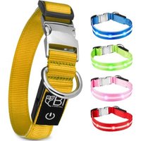 Petsation Leuchthalsband Hundehalsband gelb XS von Petsation