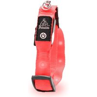 Petsation leuchtendes Katzenhalsband S rot Petsation leuchtendes Katzenhalsband S rot von Petsation