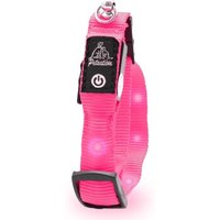 Petsation leuchtendes Katzenhalsband pink von Petsation