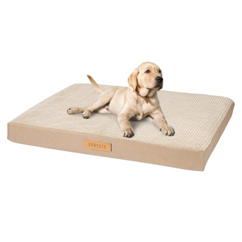 Petsen Großes Hundebett, Orthopädisches Hund Kissen Hunde-Matratze mit Waschbarer Abdeckung, Gelenkschonend Hundesofa Hundematte mit Gravieren Namen (Beige, L 90 cm x B 70 cm x H 10 cm) von Petsen