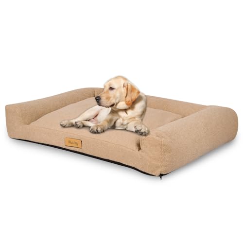 Petsen Personalisierte Hundebett - Grosse Große Mittelgroße Hunde - Hundekissen waschbar – Hundekörbchen - Hundematte mit Gravieren Namen (Boucle Beige, L 100 x B 65 x H 17 cm) von Petsen