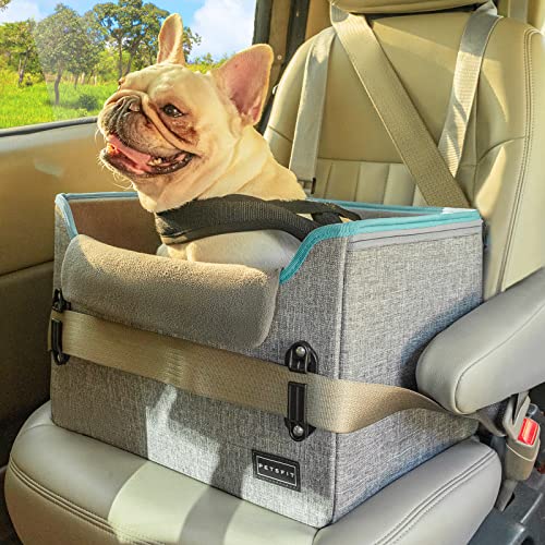 Hundeautositze für kleine Hunde, Welpen, stabiler Haustier-Autositz für Auto mit Clip-On-Leine, Fleece-Innenfutter, perfekt für kleine Haustiere bis zu 11,3 kg (Schwarz und Gelb) von Petsfit